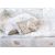 Mama Kiddies Sofie Dreams 4 részes babaágynemű 180°-os rácsvédővel baglyos mintával fehér színben