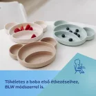 Canpol babies Szilikon osztott tányér tapadókoronggal Mackó krémszín